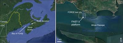 The Ups and Downs of Using Active Acoustic Technologies to Study Fish at Tidal Energy Sites